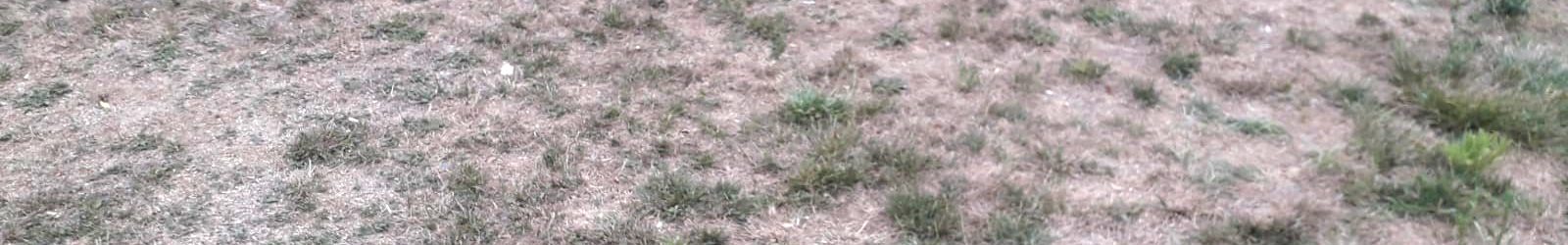 Sol·licitud de reparació del rec automàtic del Parc dels Miradors