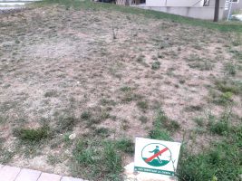 Sol·licitud de reparació del rec automàtic del Parc dels Miradors