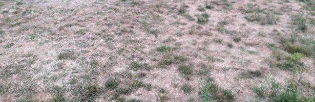 Sol·licitud de reparació del rec automàtic del Parc dels Miradors
