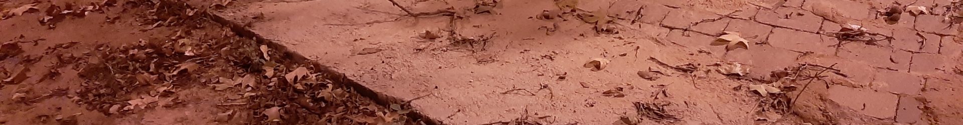 Sol·licitud de neteja del clavegueram d’aigües pluvials del Barri del Vilet