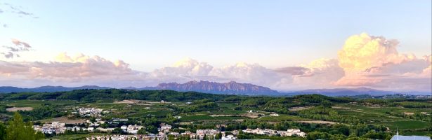Les accions parlen més fort que les paraules